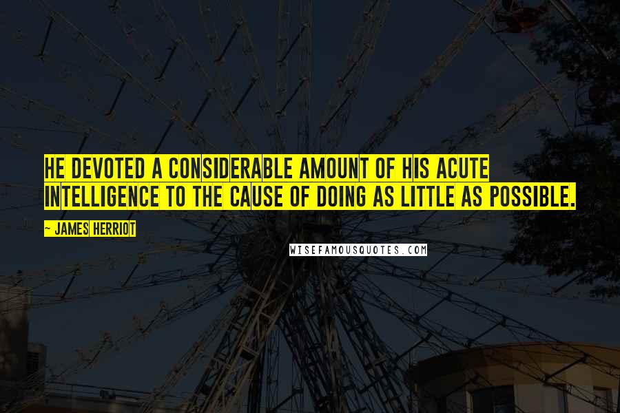 James Herriot Quotes: He devoted a considerable amount of his acute intelligence to the cause of doing as little as possible.