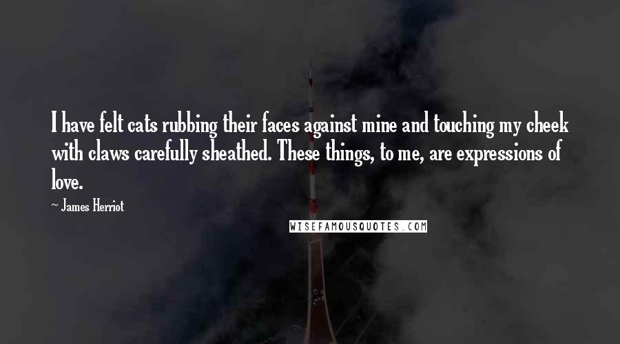 James Herriot Quotes: I have felt cats rubbing their faces against mine and touching my cheek with claws carefully sheathed. These things, to me, are expressions of love.