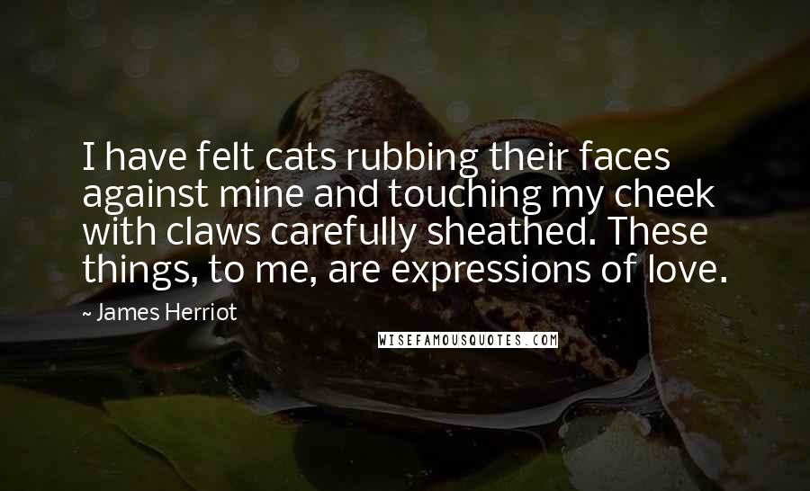 James Herriot Quotes: I have felt cats rubbing their faces against mine and touching my cheek with claws carefully sheathed. These things, to me, are expressions of love.