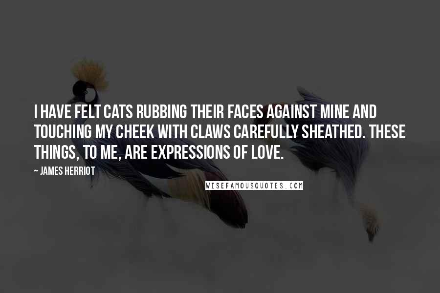 James Herriot Quotes: I have felt cats rubbing their faces against mine and touching my cheek with claws carefully sheathed. These things, to me, are expressions of love.