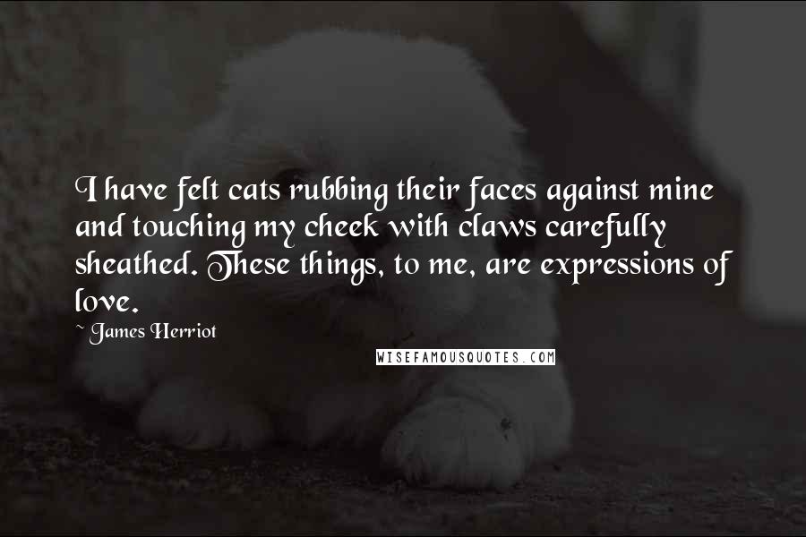 James Herriot Quotes: I have felt cats rubbing their faces against mine and touching my cheek with claws carefully sheathed. These things, to me, are expressions of love.