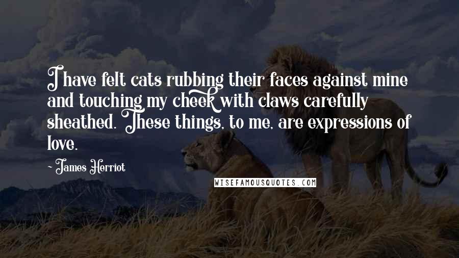 James Herriot Quotes: I have felt cats rubbing their faces against mine and touching my cheek with claws carefully sheathed. These things, to me, are expressions of love.