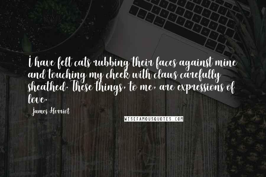 James Herriot Quotes: I have felt cats rubbing their faces against mine and touching my cheek with claws carefully sheathed. These things, to me, are expressions of love.