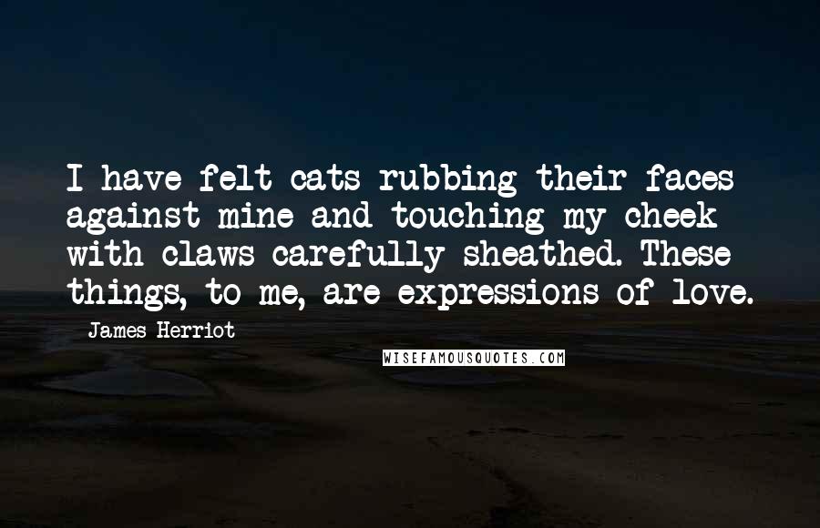 James Herriot Quotes: I have felt cats rubbing their faces against mine and touching my cheek with claws carefully sheathed. These things, to me, are expressions of love.