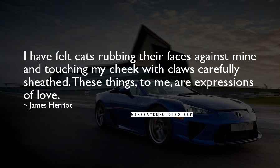 James Herriot Quotes: I have felt cats rubbing their faces against mine and touching my cheek with claws carefully sheathed. These things, to me, are expressions of love.