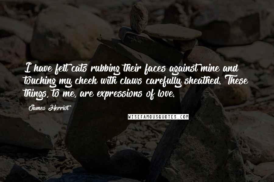 James Herriot Quotes: I have felt cats rubbing their faces against mine and touching my cheek with claws carefully sheathed. These things, to me, are expressions of love.