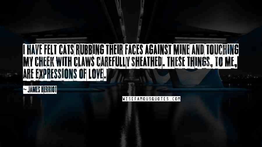 James Herriot Quotes: I have felt cats rubbing their faces against mine and touching my cheek with claws carefully sheathed. These things, to me, are expressions of love.