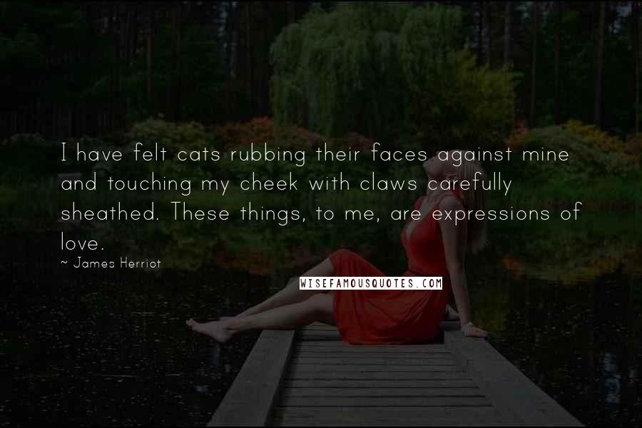 James Herriot Quotes: I have felt cats rubbing their faces against mine and touching my cheek with claws carefully sheathed. These things, to me, are expressions of love.