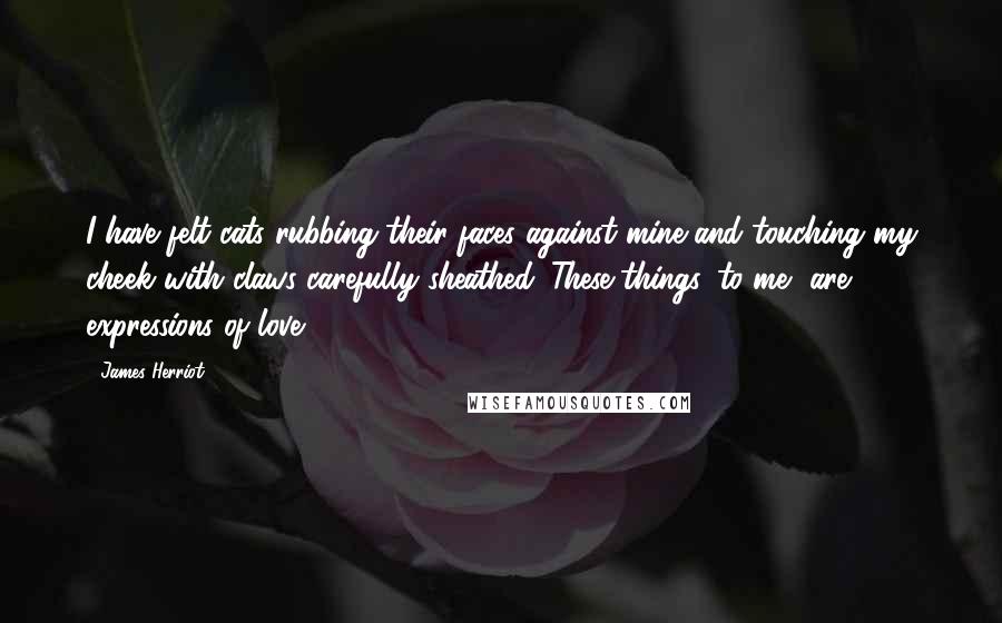 James Herriot Quotes: I have felt cats rubbing their faces against mine and touching my cheek with claws carefully sheathed. These things, to me, are expressions of love.