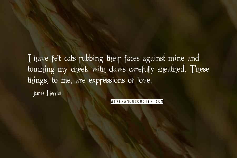 James Herriot Quotes: I have felt cats rubbing their faces against mine and touching my cheek with claws carefully sheathed. These things, to me, are expressions of love.