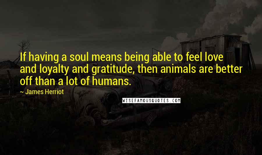 James Herriot Quotes: If having a soul means being able to feel love and loyalty and gratitude, then animals are better off than a lot of humans.