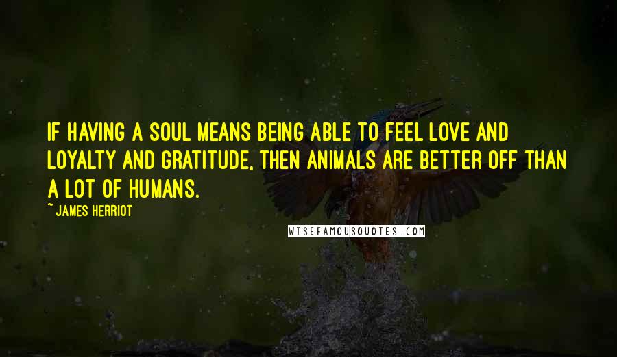 James Herriot Quotes: If having a soul means being able to feel love and loyalty and gratitude, then animals are better off than a lot of humans.