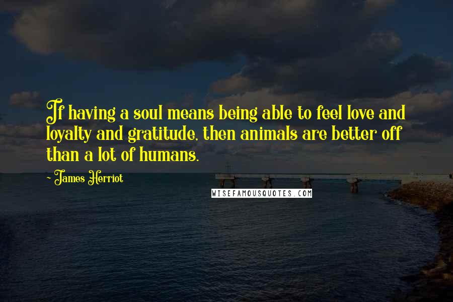 James Herriot Quotes: If having a soul means being able to feel love and loyalty and gratitude, then animals are better off than a lot of humans.