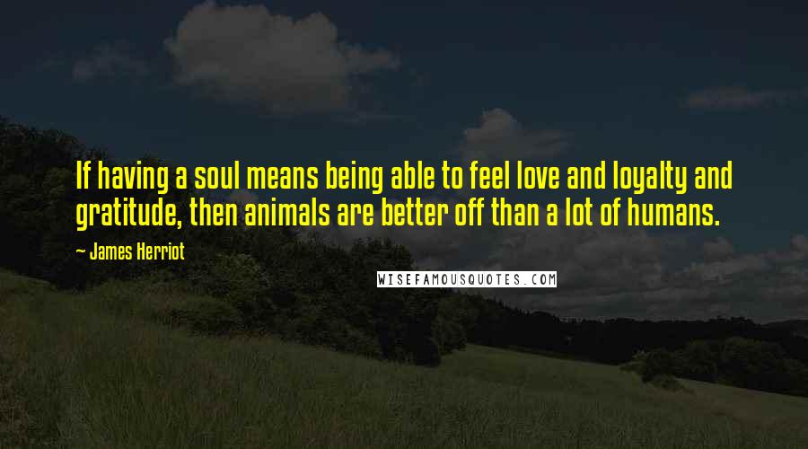 James Herriot Quotes: If having a soul means being able to feel love and loyalty and gratitude, then animals are better off than a lot of humans.