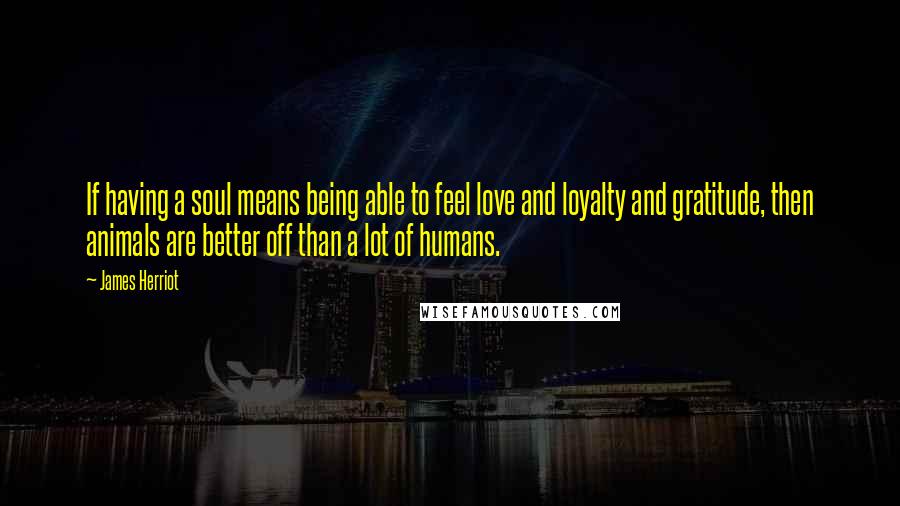 James Herriot Quotes: If having a soul means being able to feel love and loyalty and gratitude, then animals are better off than a lot of humans.