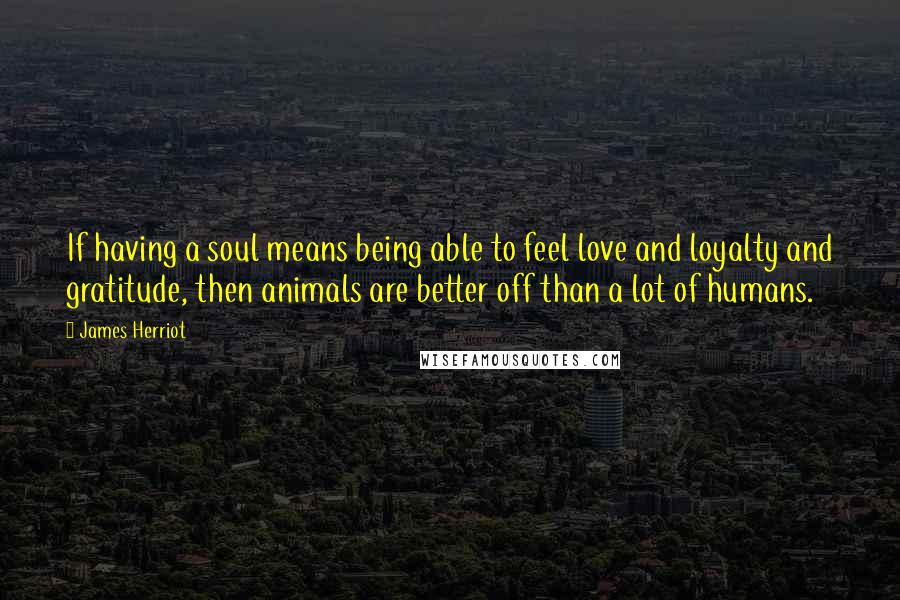 James Herriot Quotes: If having a soul means being able to feel love and loyalty and gratitude, then animals are better off than a lot of humans.