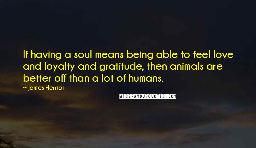 James Herriot Quotes: If having a soul means being able to feel love and loyalty and gratitude, then animals are better off than a lot of humans.