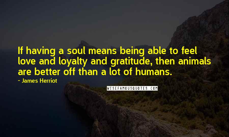 James Herriot Quotes: If having a soul means being able to feel love and loyalty and gratitude, then animals are better off than a lot of humans.