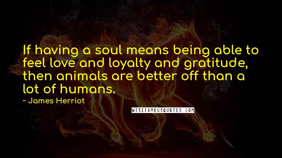 James Herriot Quotes: If having a soul means being able to feel love and loyalty and gratitude, then animals are better off than a lot of humans.