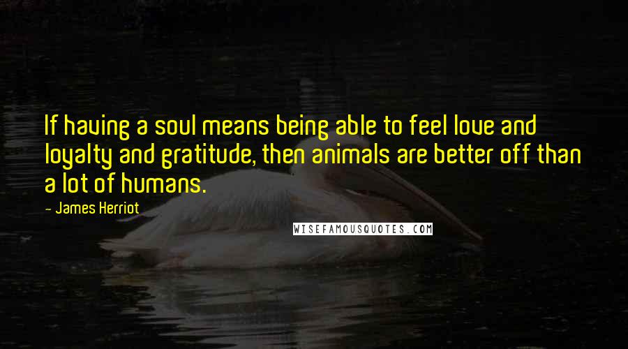 James Herriot Quotes: If having a soul means being able to feel love and loyalty and gratitude, then animals are better off than a lot of humans.