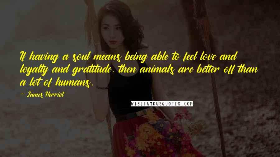 James Herriot Quotes: If having a soul means being able to feel love and loyalty and gratitude, then animals are better off than a lot of humans.