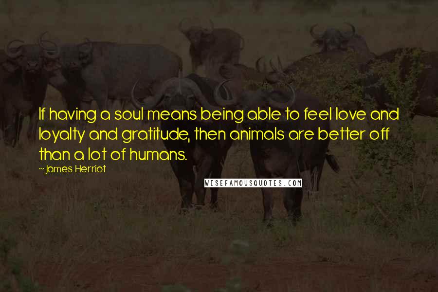 James Herriot Quotes: If having a soul means being able to feel love and loyalty and gratitude, then animals are better off than a lot of humans.