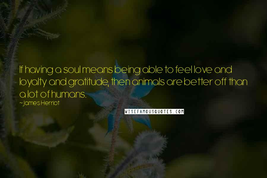 James Herriot Quotes: If having a soul means being able to feel love and loyalty and gratitude, then animals are better off than a lot of humans.