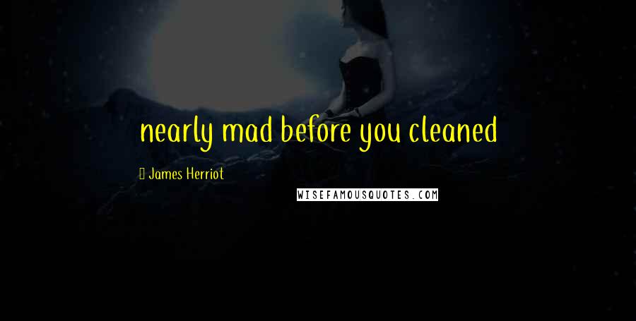 James Herriot Quotes: nearly mad before you cleaned