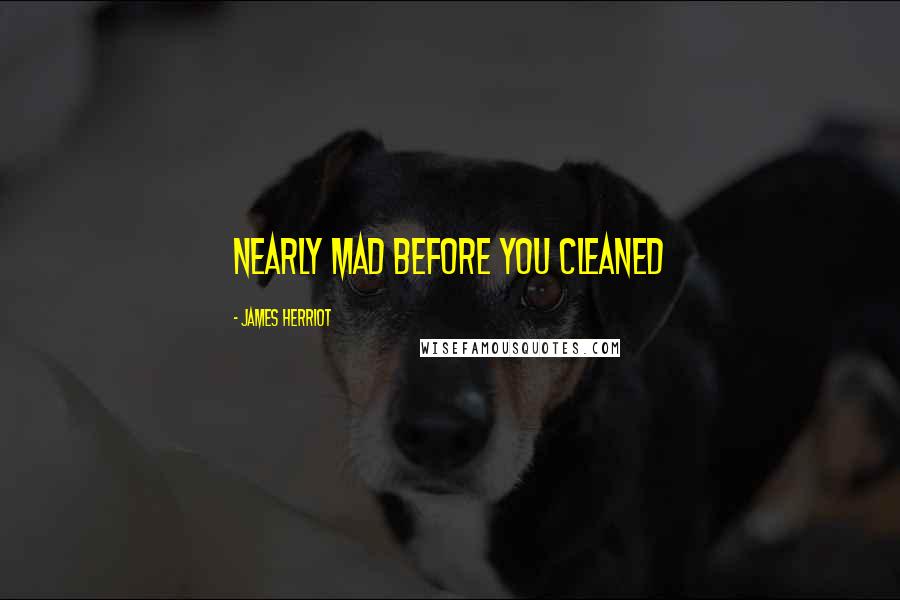 James Herriot Quotes: nearly mad before you cleaned