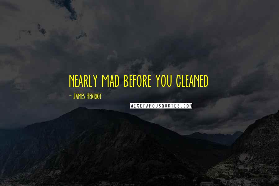 James Herriot Quotes: nearly mad before you cleaned