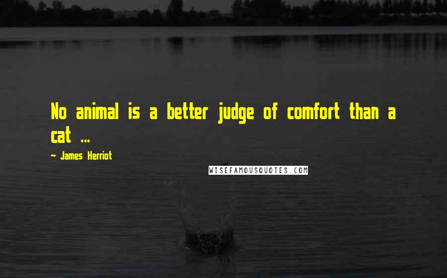 James Herriot Quotes: No animal is a better judge of comfort than a cat ...