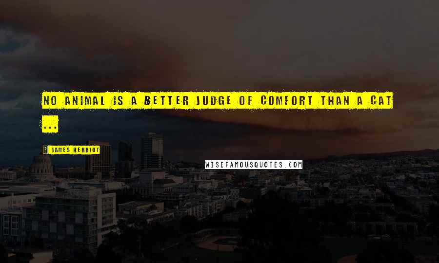 James Herriot Quotes: No animal is a better judge of comfort than a cat ...