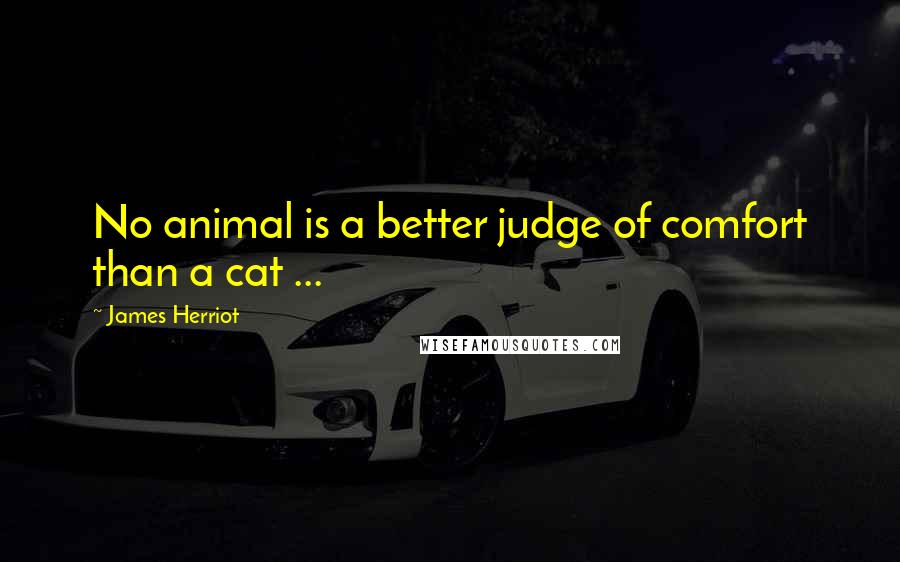 James Herriot Quotes: No animal is a better judge of comfort than a cat ...