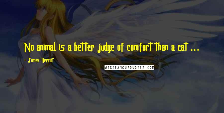 James Herriot Quotes: No animal is a better judge of comfort than a cat ...