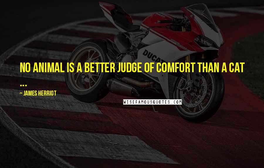 James Herriot Quotes: No animal is a better judge of comfort than a cat ...