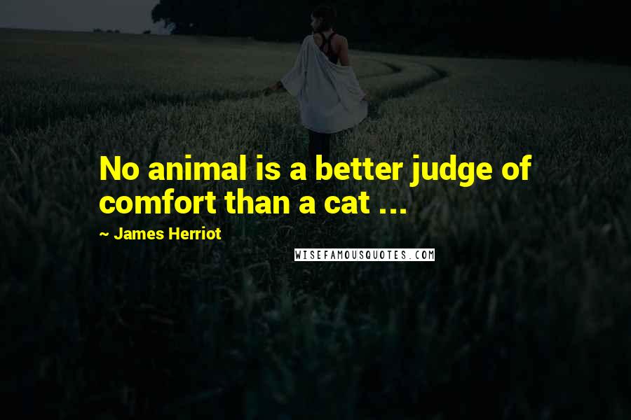 James Herriot Quotes: No animal is a better judge of comfort than a cat ...