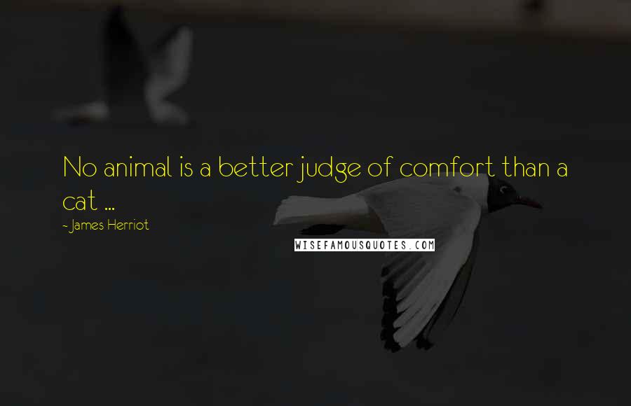 James Herriot Quotes: No animal is a better judge of comfort than a cat ...
