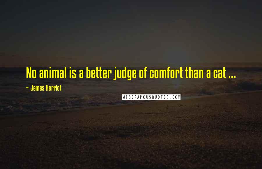 James Herriot Quotes: No animal is a better judge of comfort than a cat ...