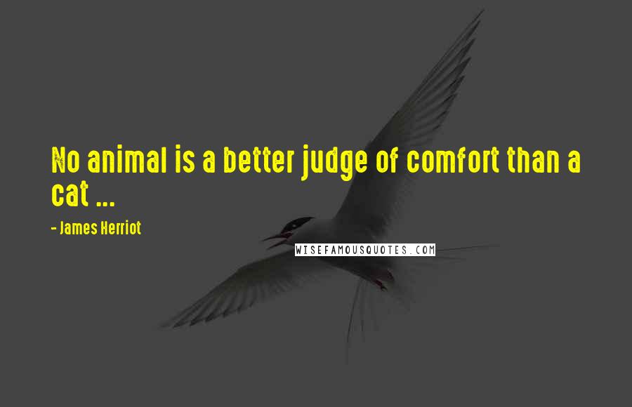 James Herriot Quotes: No animal is a better judge of comfort than a cat ...