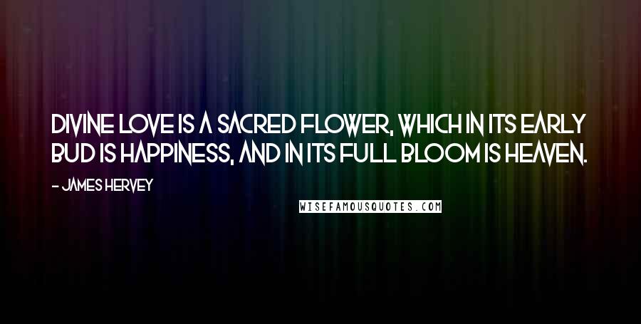 James Hervey Quotes: Divine love is a sacred flower, which in its early bud is happiness, and in its full bloom is heaven.