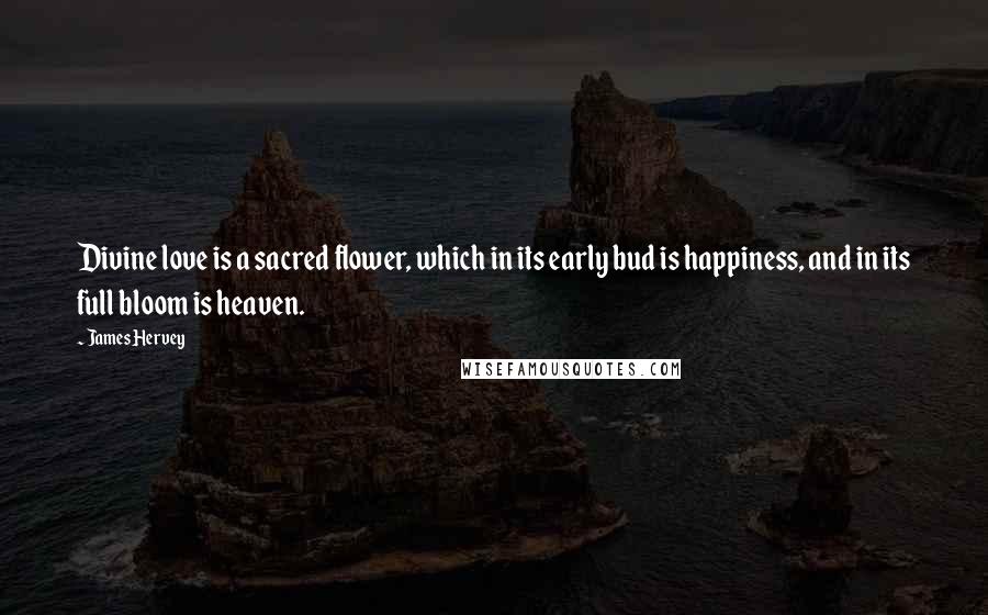 James Hervey Quotes: Divine love is a sacred flower, which in its early bud is happiness, and in its full bloom is heaven.