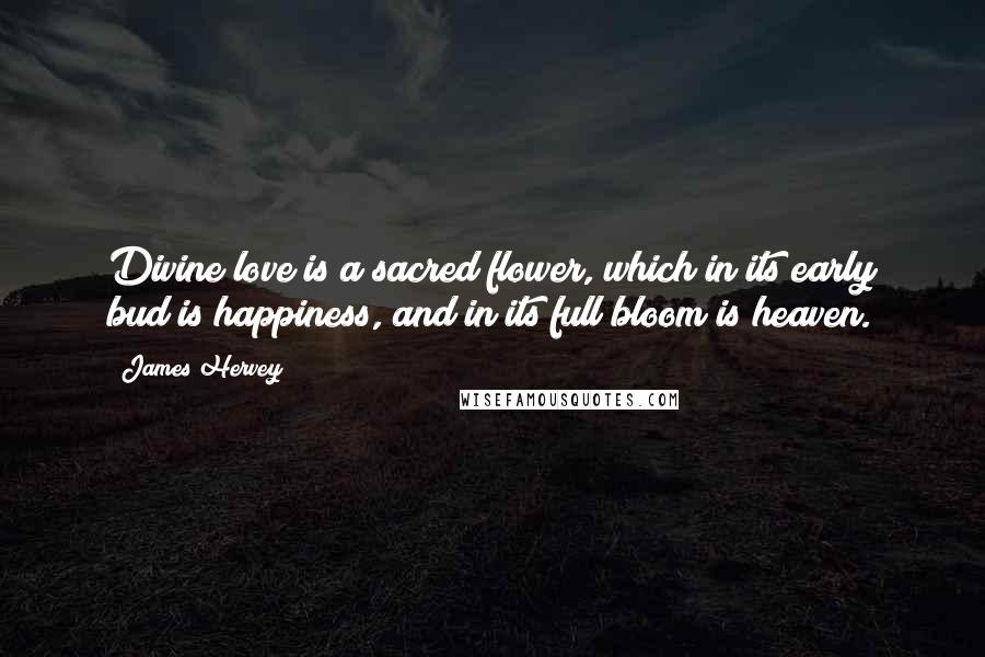 James Hervey Quotes: Divine love is a sacred flower, which in its early bud is happiness, and in its full bloom is heaven.