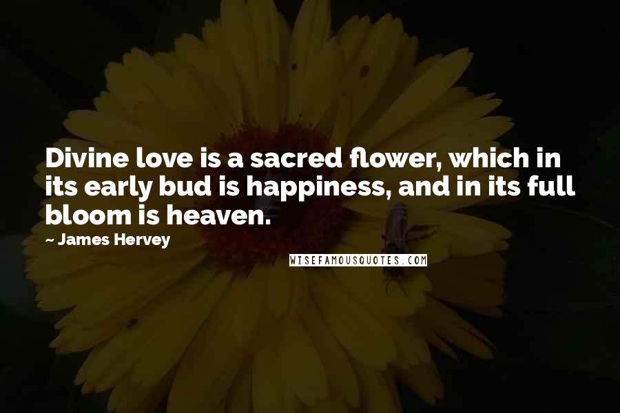 James Hervey Quotes: Divine love is a sacred flower, which in its early bud is happiness, and in its full bloom is heaven.