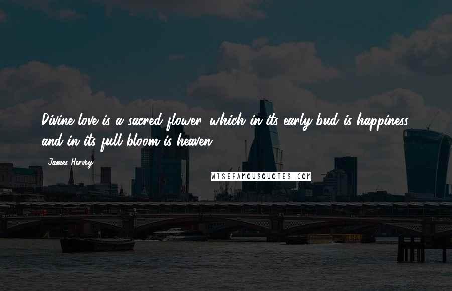 James Hervey Quotes: Divine love is a sacred flower, which in its early bud is happiness, and in its full bloom is heaven.