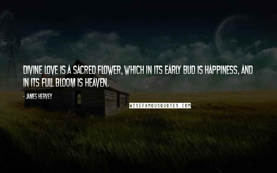 James Hervey Quotes: Divine love is a sacred flower, which in its early bud is happiness, and in its full bloom is heaven.