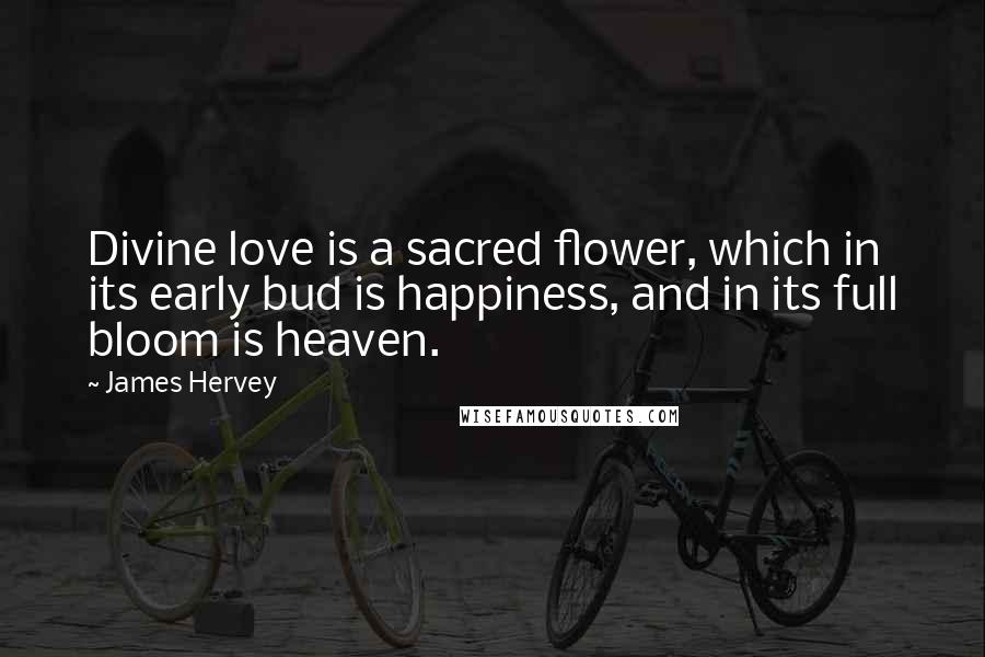 James Hervey Quotes: Divine love is a sacred flower, which in its early bud is happiness, and in its full bloom is heaven.