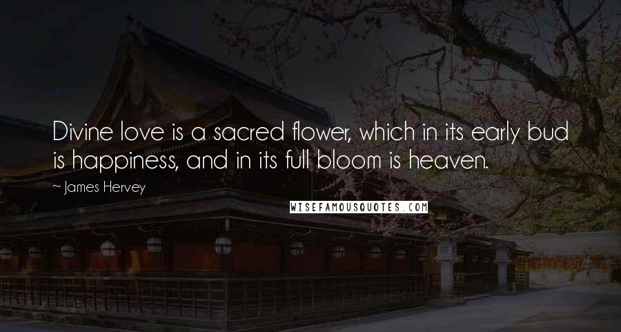 James Hervey Quotes: Divine love is a sacred flower, which in its early bud is happiness, and in its full bloom is heaven.