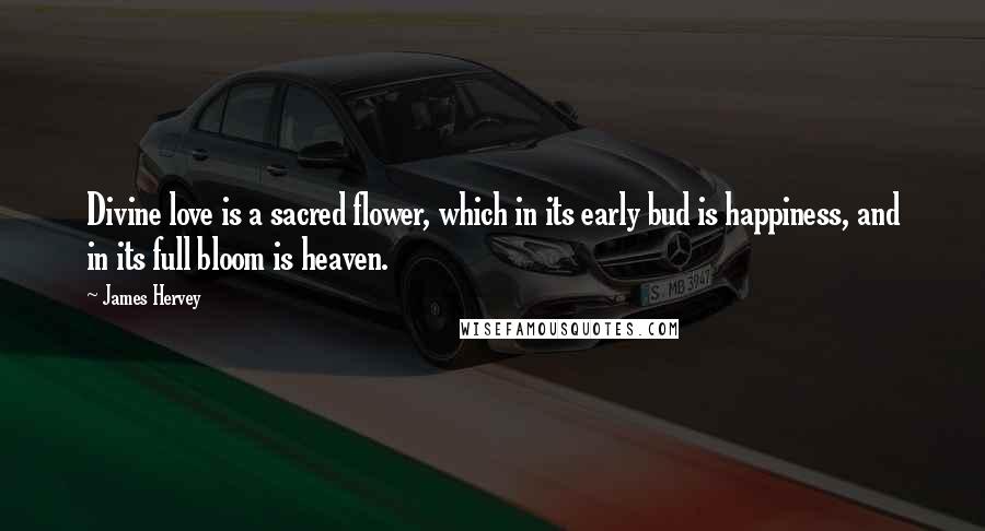 James Hervey Quotes: Divine love is a sacred flower, which in its early bud is happiness, and in its full bloom is heaven.