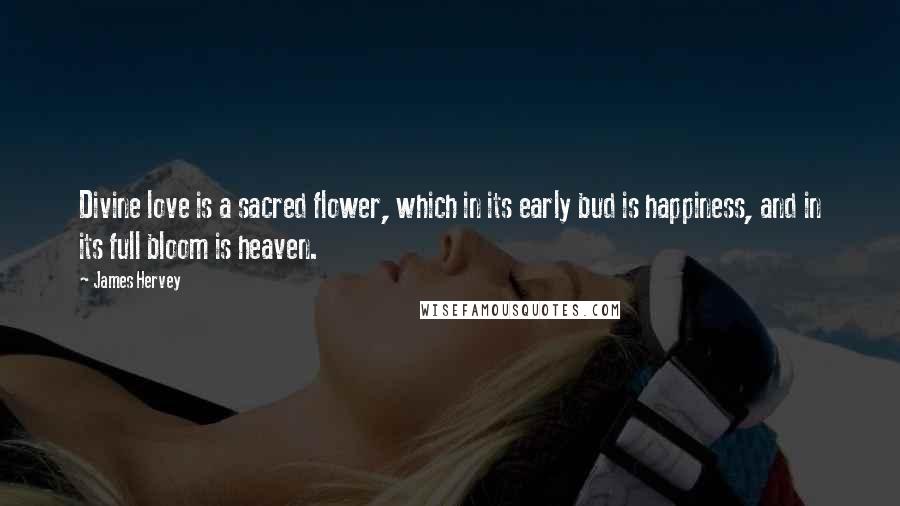 James Hervey Quotes: Divine love is a sacred flower, which in its early bud is happiness, and in its full bloom is heaven.