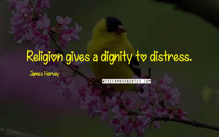 James Hervey Quotes: Religion gives a dignity to distress.